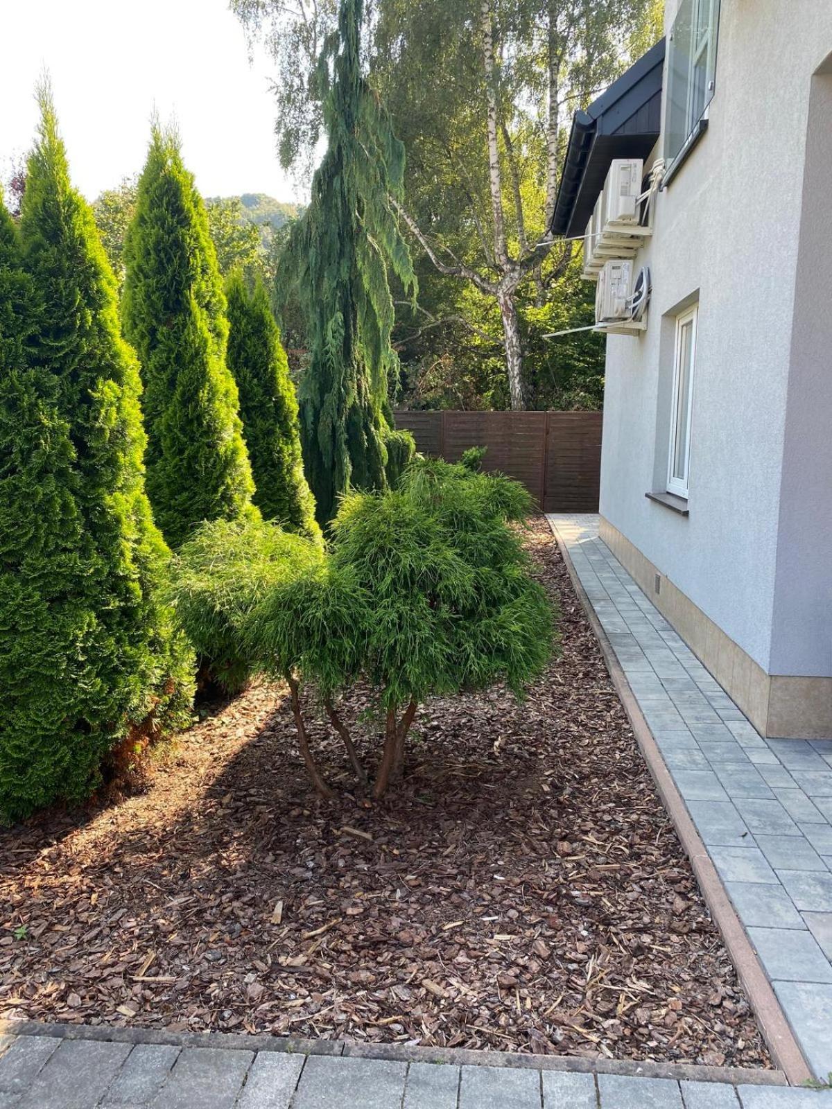 Apartamenty Lawenda Krakau Exterior foto